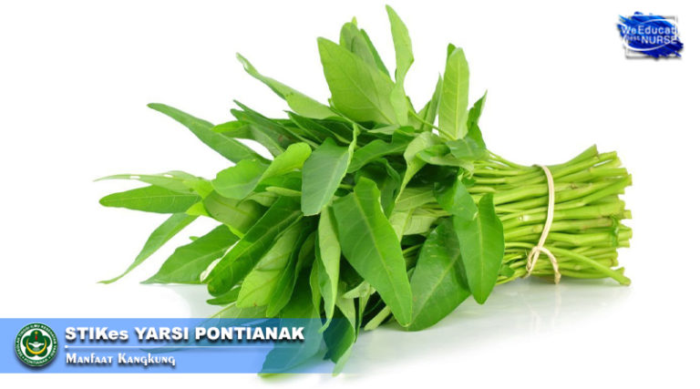 Manfaat Kangkung